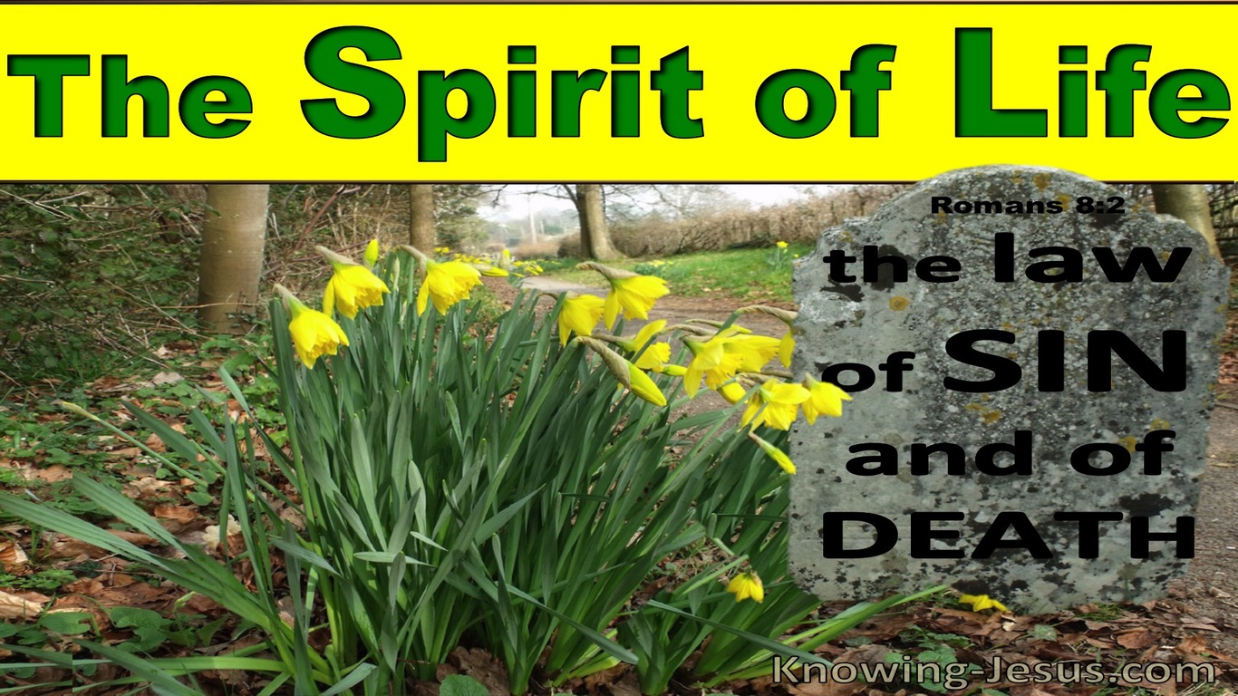 Romans 8:2 The Law Of The Spirit Of Life (green)